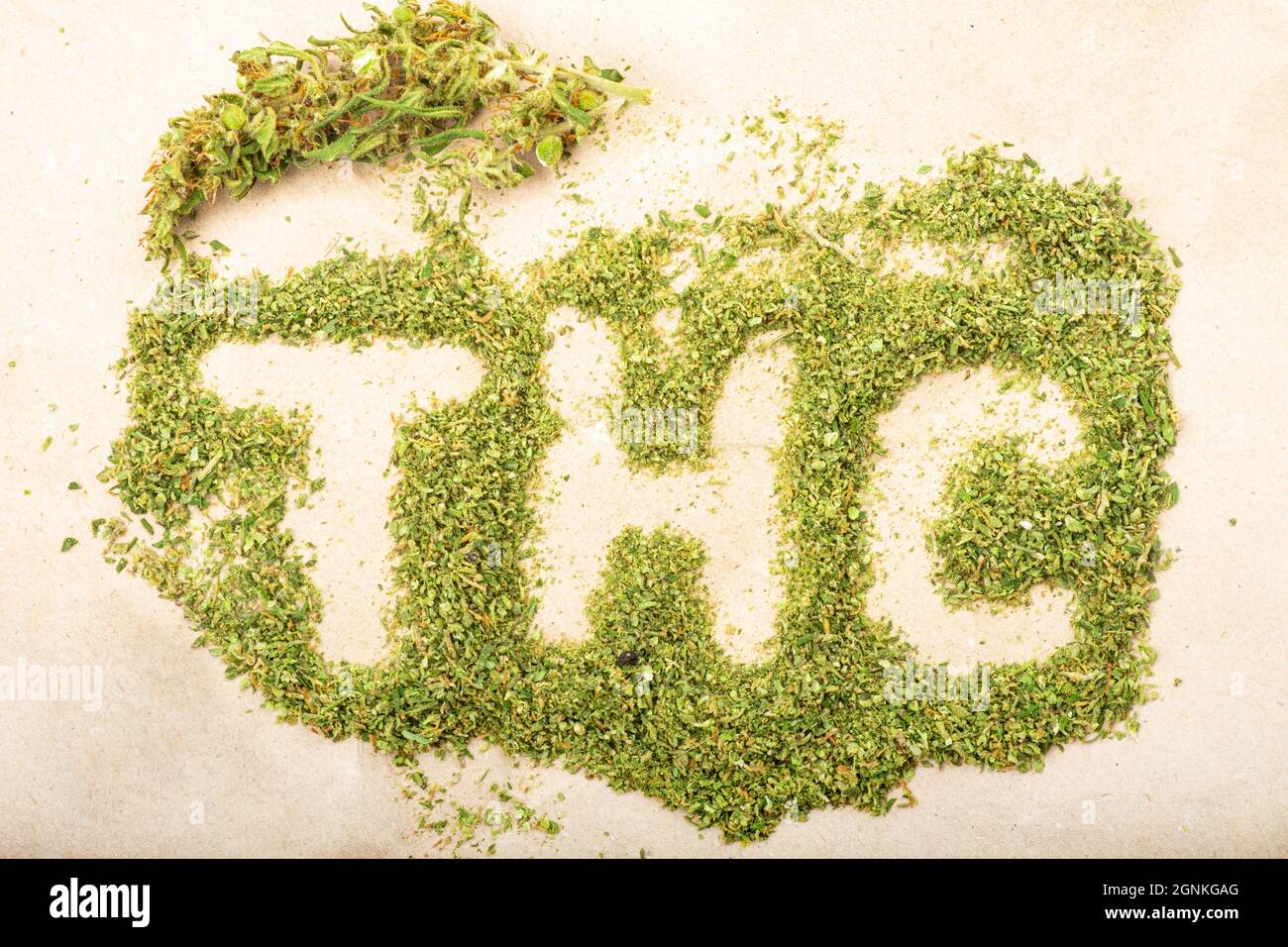 Iscrizione di parola THC fatta da germogli di cannabis verdi. Foto Stock