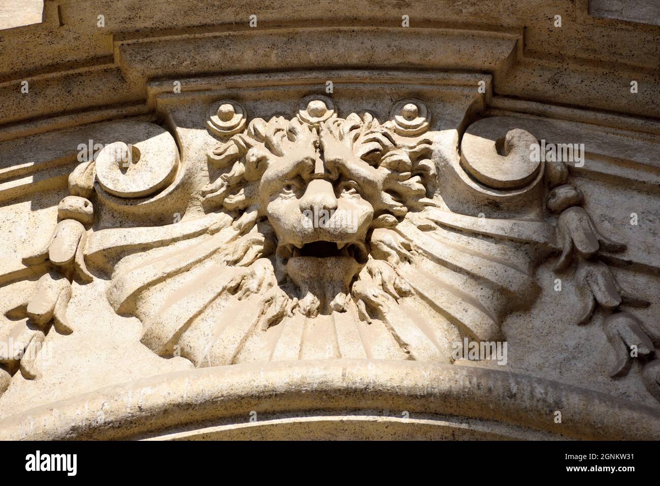 Italia, Roma, Palazzo del Grillo, testa di leone sulla porta Foto Stock