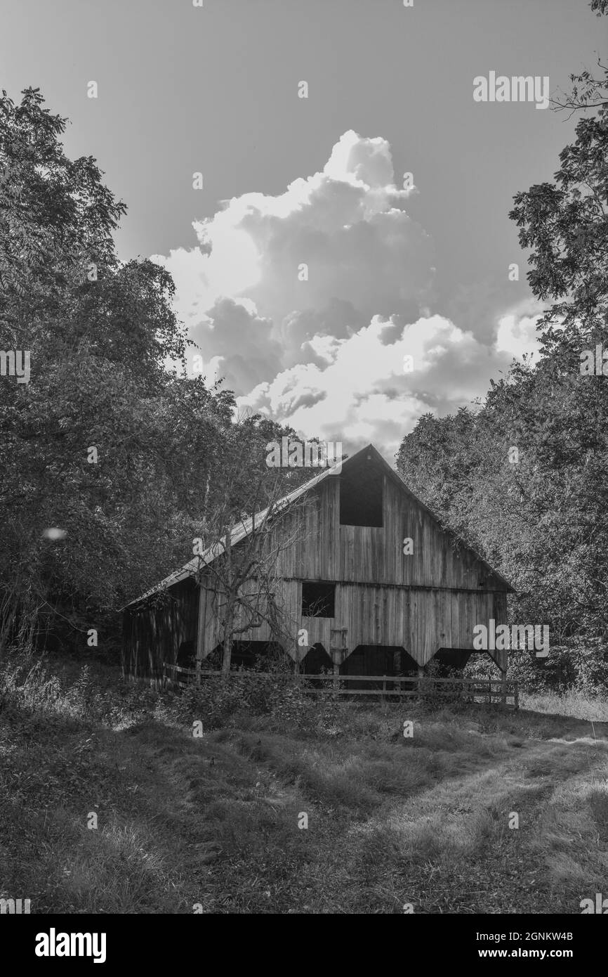 In bianco e nero. Vecchio granaio di rundown nella natura selvaggia delle montagne nel Missouri Foto Stock