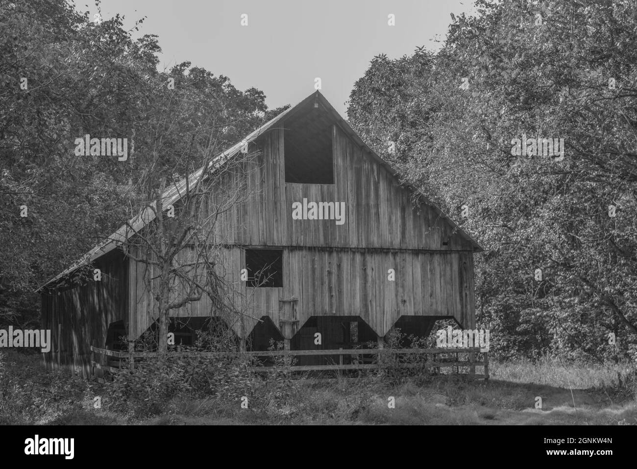 In bianco e nero. Vecchio granaio di rundown nella natura selvaggia delle montagne nel Missouri Foto Stock