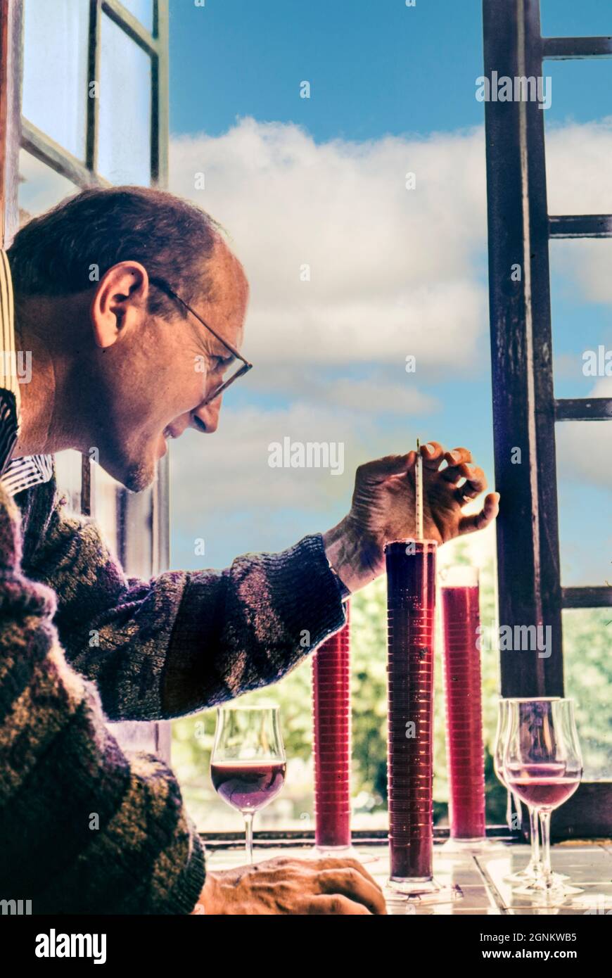 VALUTAZIONE DEL RACCOLTO PINOT NERO Produttori di vino che misurano la gravità specifica del succo di uve Pinot Nero recentemente raccolto presso Chateau de Corton Grancey cantina di Louis Latour Borgogna Francia Foto Stock