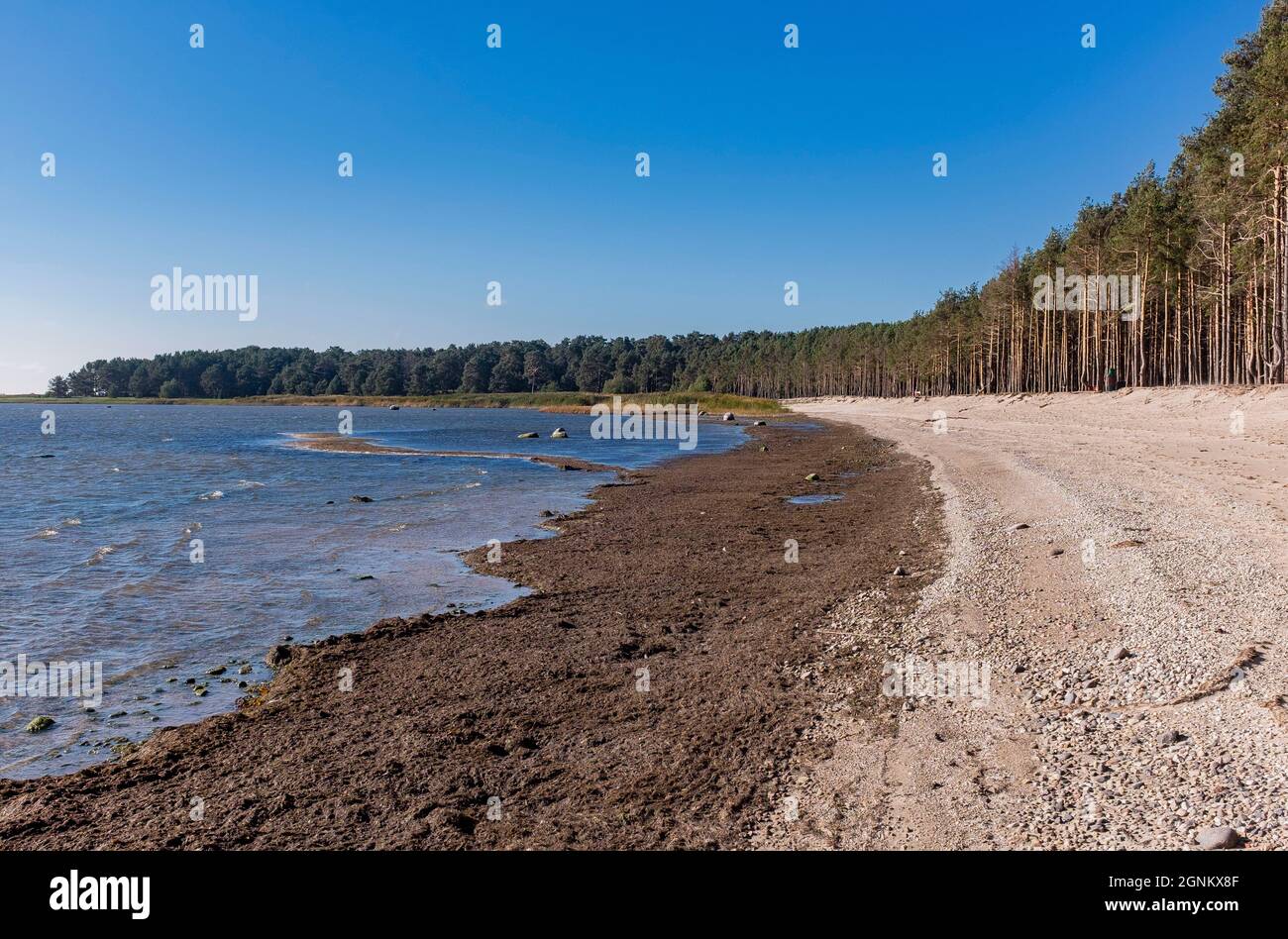 Isola di Kihnu, Mar Baltico, Estonia Foto Stock