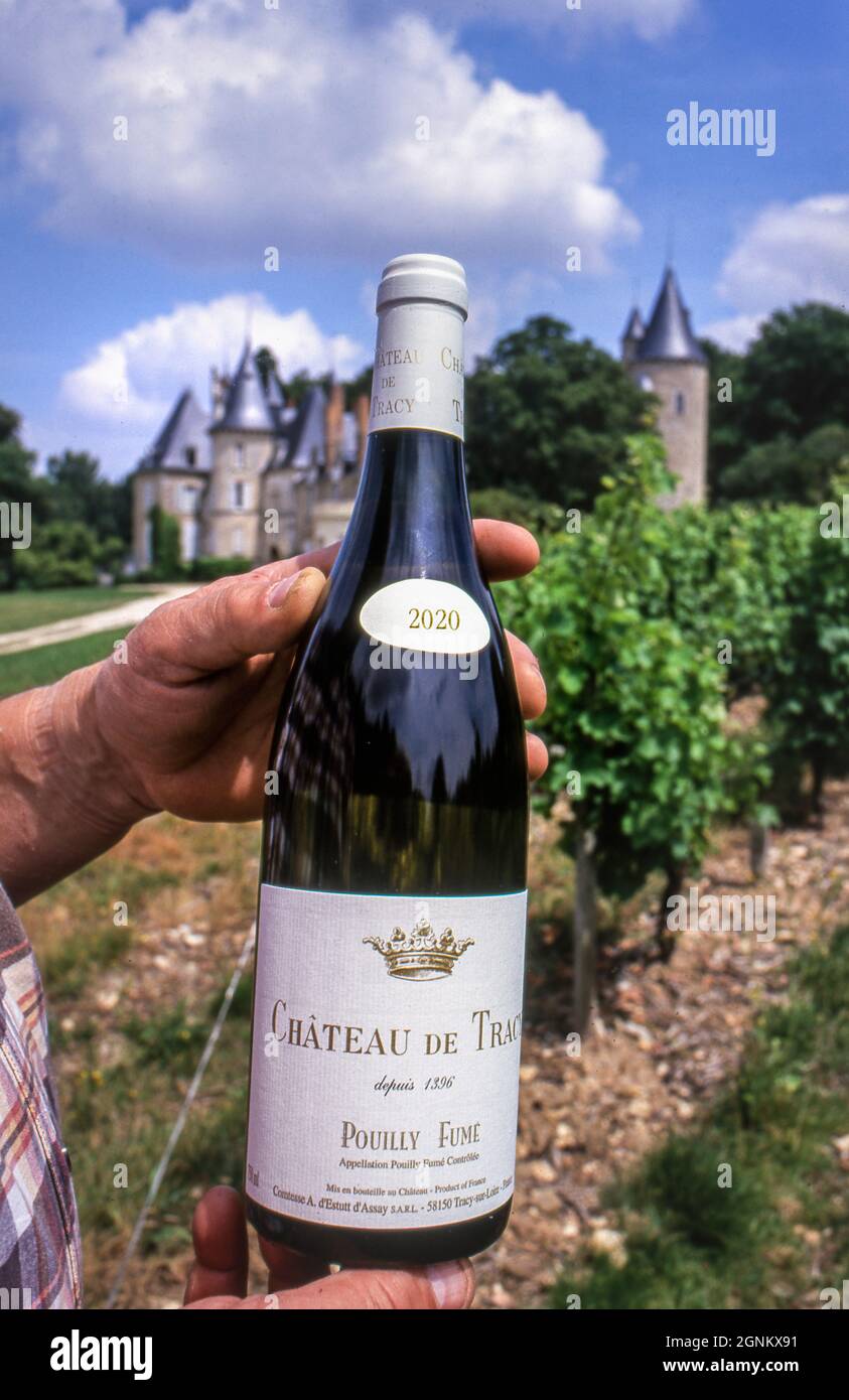 POUILLY FUME 2020 Château de Tracy, Wineworker che detiene una bottiglia di 2020 Pouilly-Fumé in vigna a Château de Tracy, Tracy-sur-Loire, Nièvre, Francia. Foto Stock