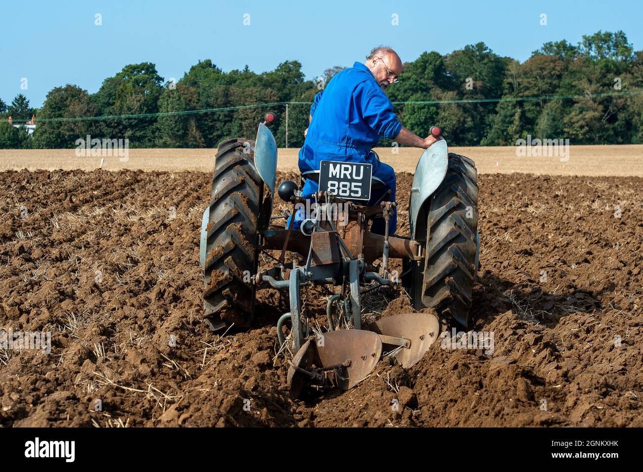 Waltham St Lawrence, Regno Unito. 26 settembre 2021. È stata una bella giornata di sole, con i trattori moderni e vintage che si sono scontrati con la Royal East Berkshire Agricultural Association, partita annuale di aratura presso Church Farm. C'era un fondo che sollevava l'asta di scatole di ortaggi e frutta coltivati da agricoltori locali. Gli ospiti hanno goduto di uno spettacolo di cani, falconeria e di una giornata al sole d'autunno. Credit: Maureen McLean/Alamy Live News Foto Stock