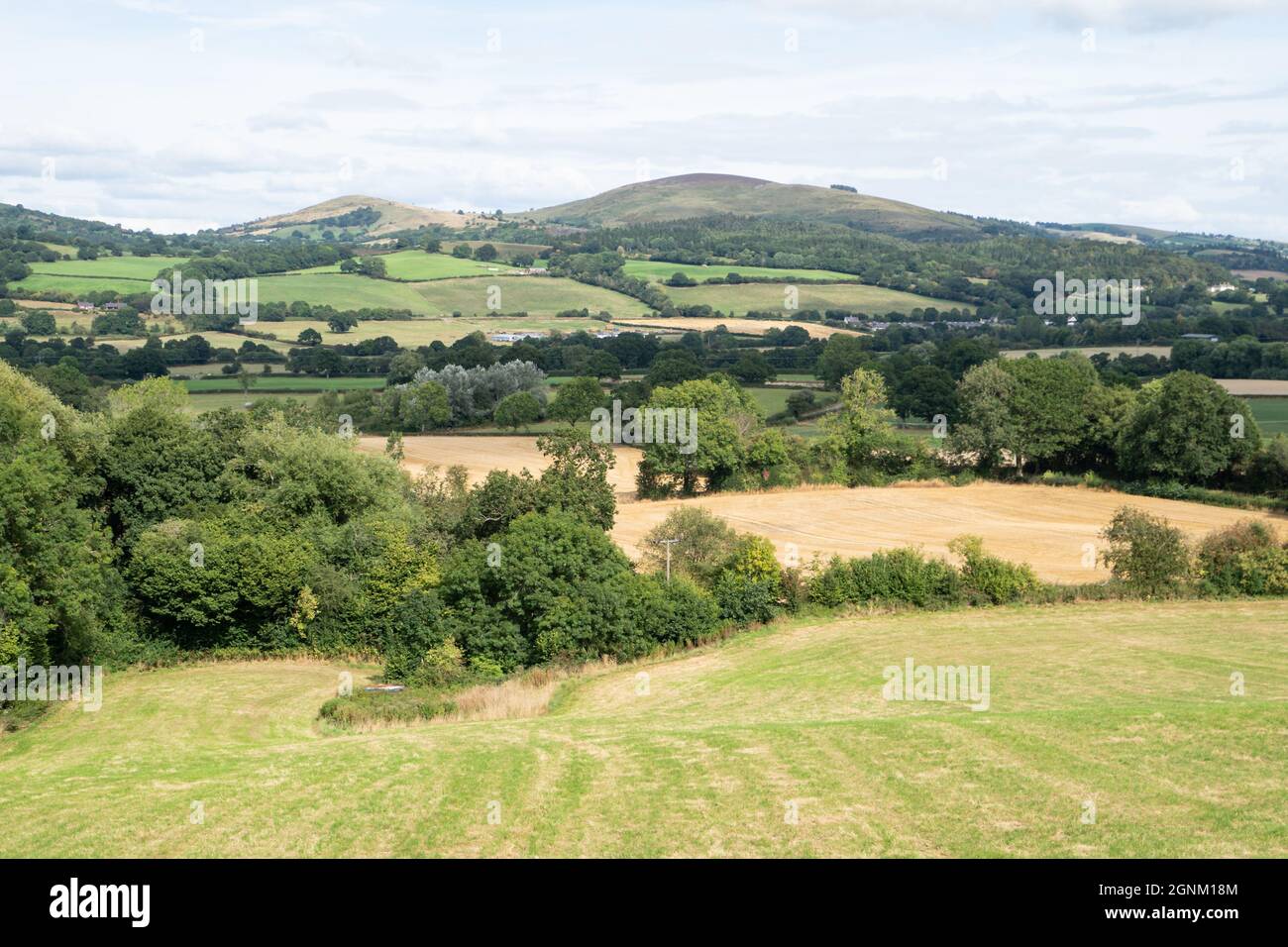 Campagna gallese ondulata con campi di macchia e valli boscose in estate Foto Stock