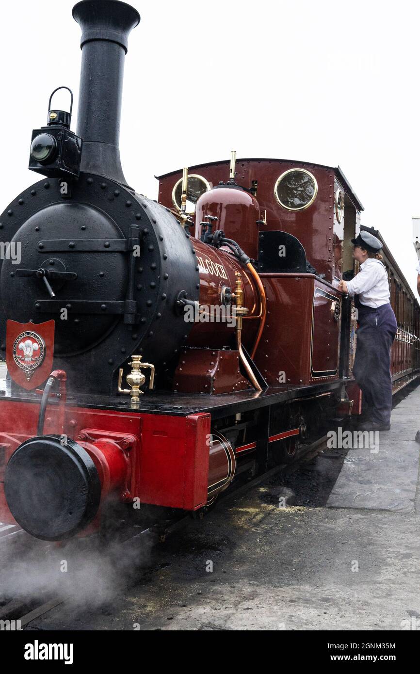 Locomotiva a vapore vittoriana con ingegnere presso la stazione ferroviaria storica Foto Stock