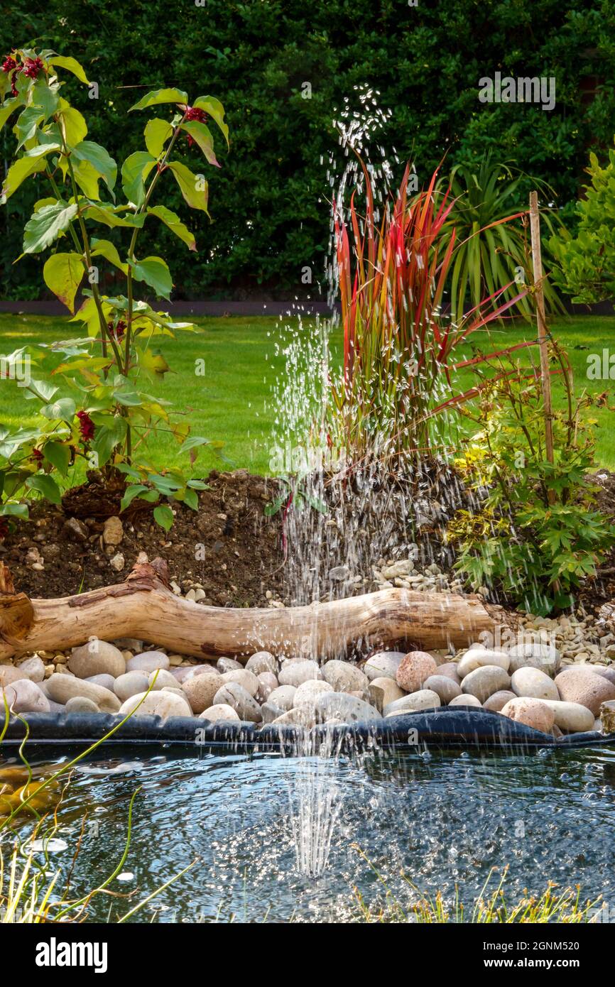 una fontana d'acqua a energia solare del giardino getta mini getti d'acqua  skywards per tornare a cascata nel laghetto giardino Foto stock - Alamy