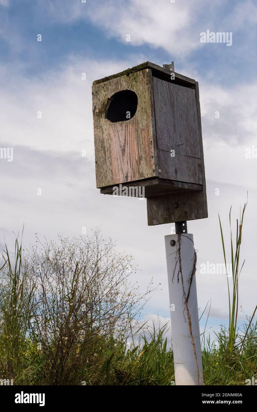 Un birdhouse in legno sorge su un palo vicino al Five Rivers Delta Center vicino a Mobile, Alabama. Foto Stock