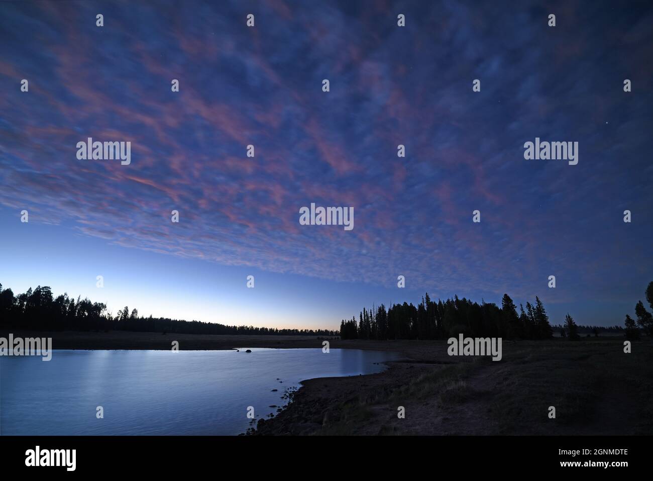 Serata su un lago Forest Foto Stock