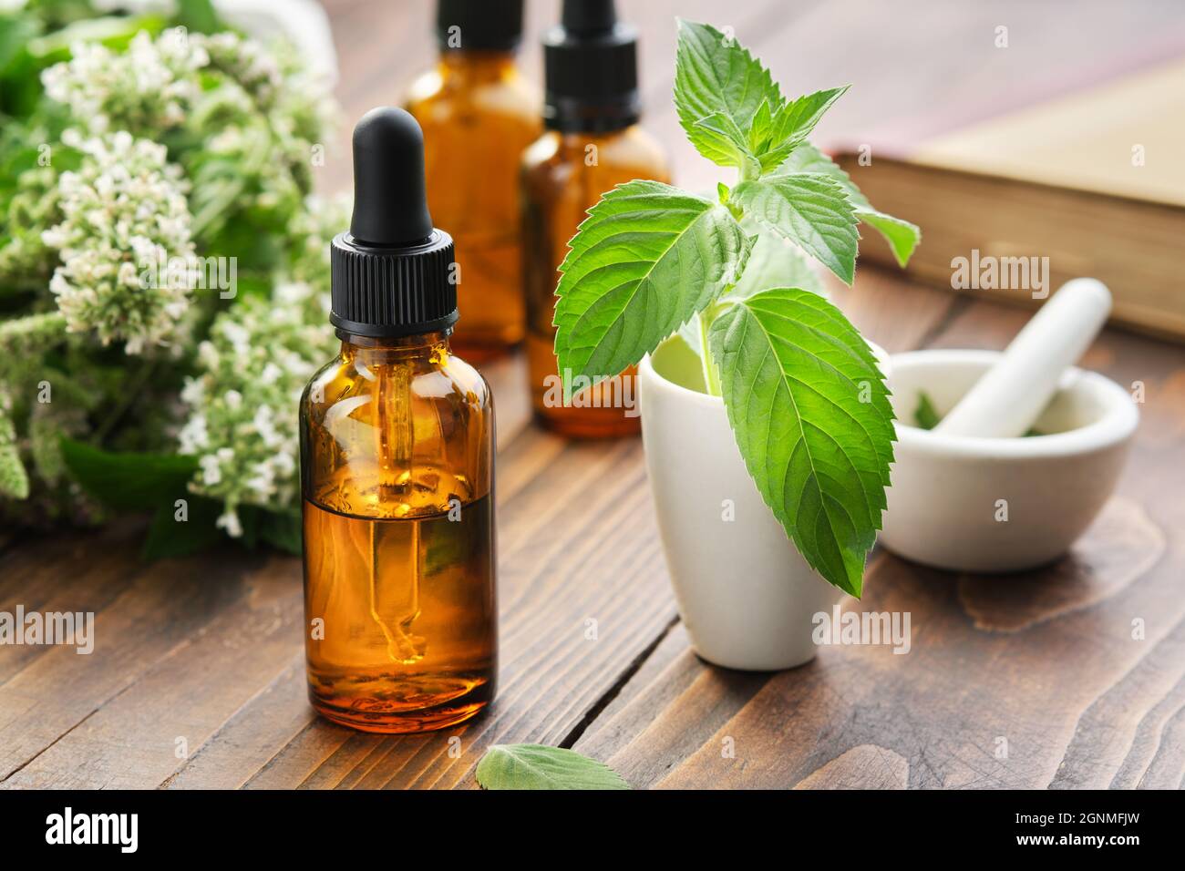 Flaconi contagocce di olio essenziale di menta, tintura o infusione, mortai di foglie di menta piperita, piante di menta verde e libro sullo sfondo. Foto Stock