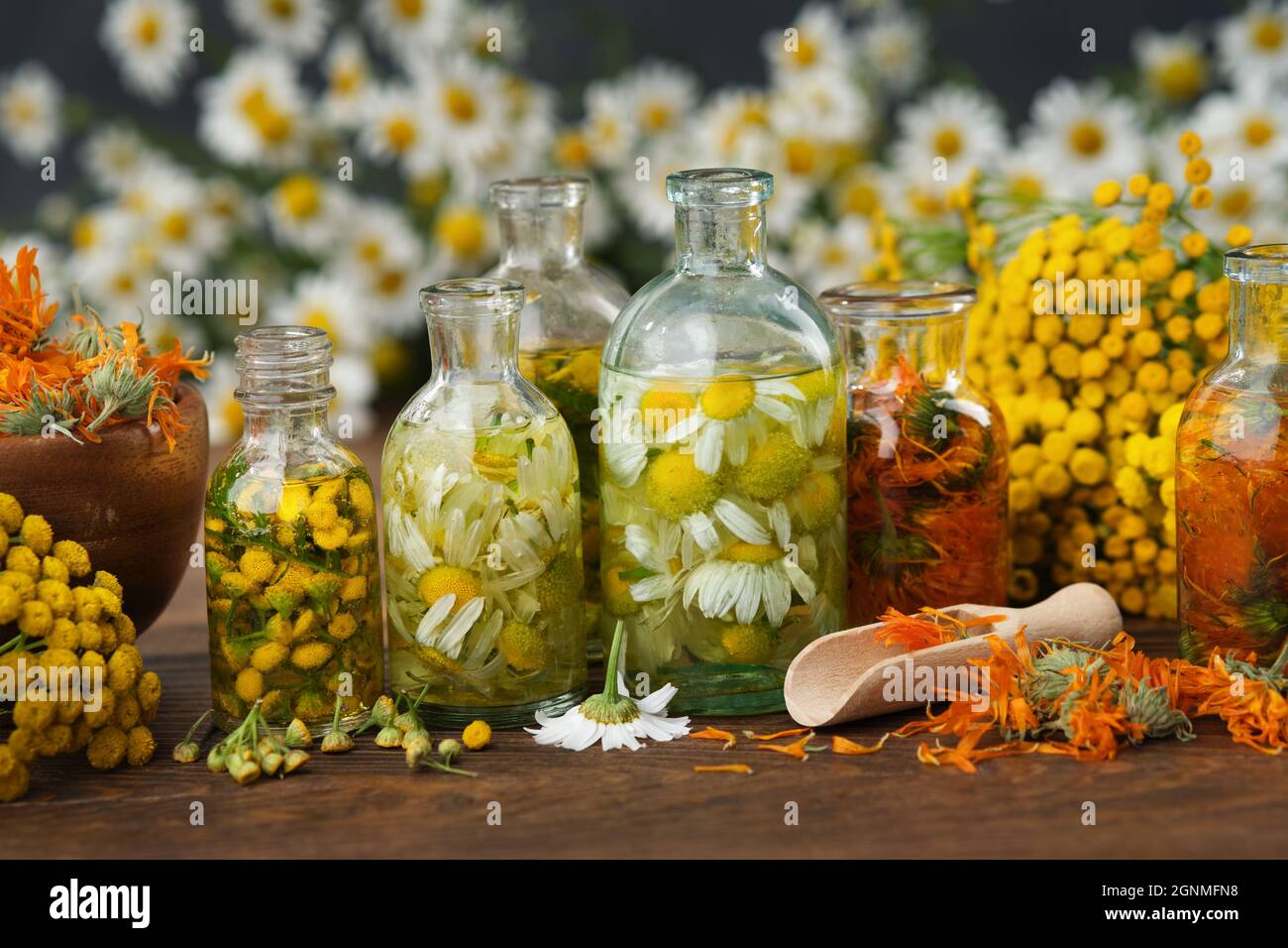Bottiglie di olio essenziale o infusione di erbe - tansy, camomilla, calendula, piante curative ed erbe su tavola di legno. Medicina alternativa. Foto Stock