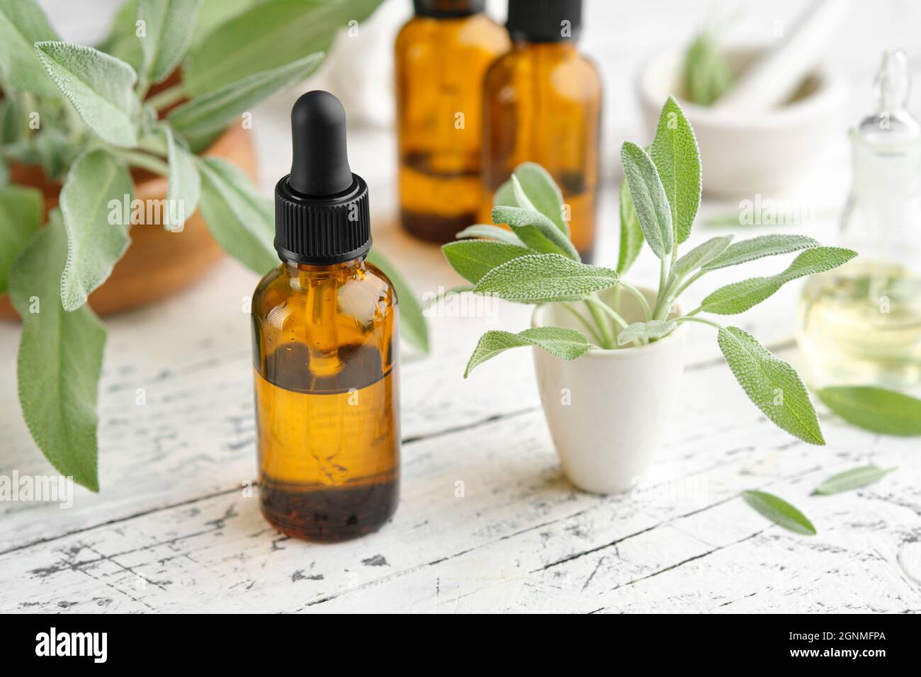Flaconi contagocce di olio essenziale di salvia, foglie verdi fresche di salvia o piante medicinali di salvia officinalis. Medicina alternativa e di erbe. Aromatherap Foto Stock