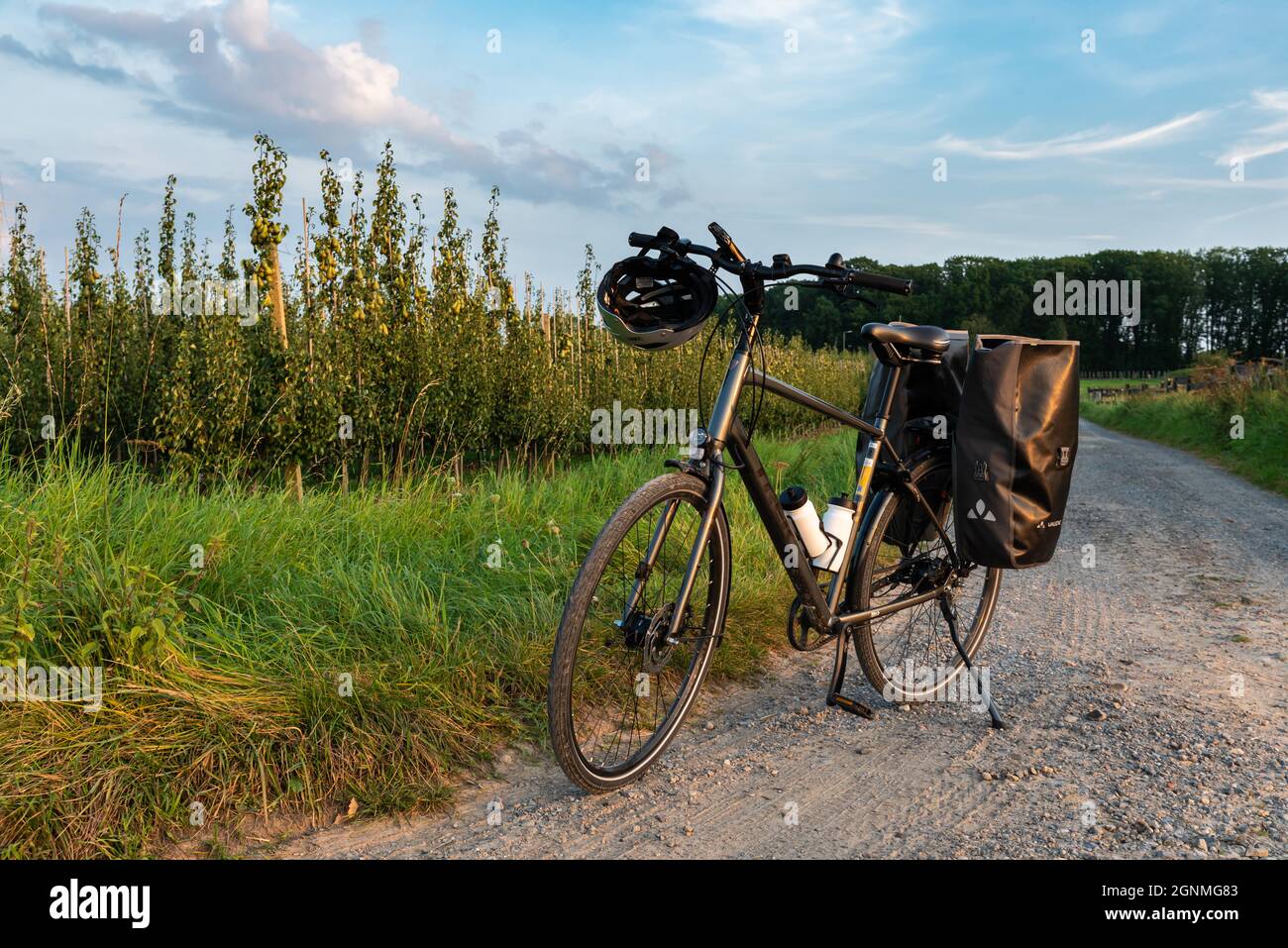 Tienen, Brabante Fiammingo, Belgio - 09 23 2021: Trekking in bicicletta in piedi su una strada di campagna durante il tramonto Foto Stock