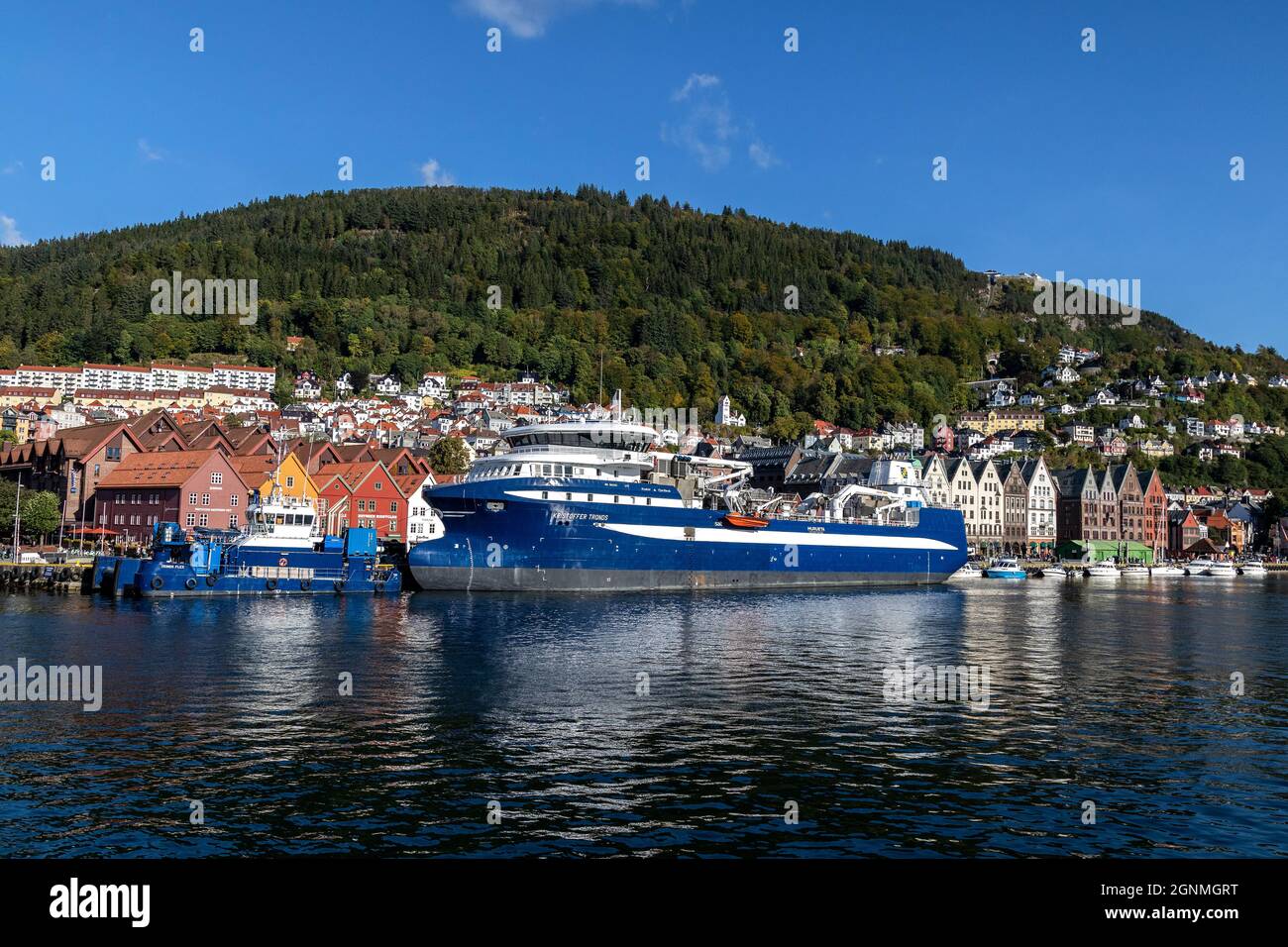 Pescatore, wellboat per il trasporto di pesci vivi Kristoffer Tronds nel porto di Bergen, Norvegia. Di fronte è rimorchiatore Tronds Flex barca Foto Stock