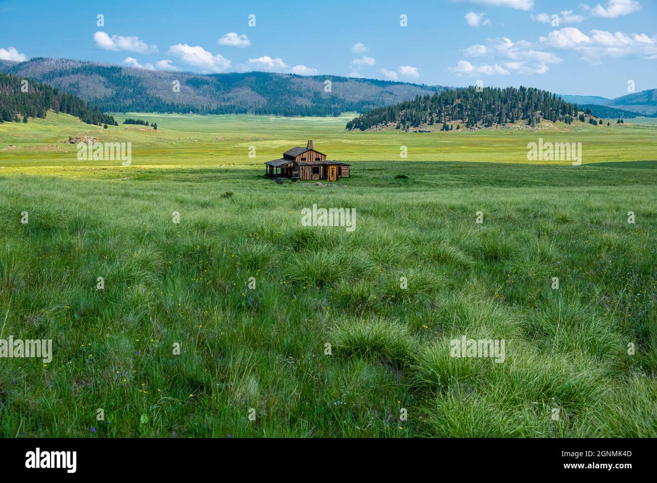 La Missing Cabin, ora abbandonata, sembra forlorn in campo alla Caldera Valles, New Mexico Foto Stock