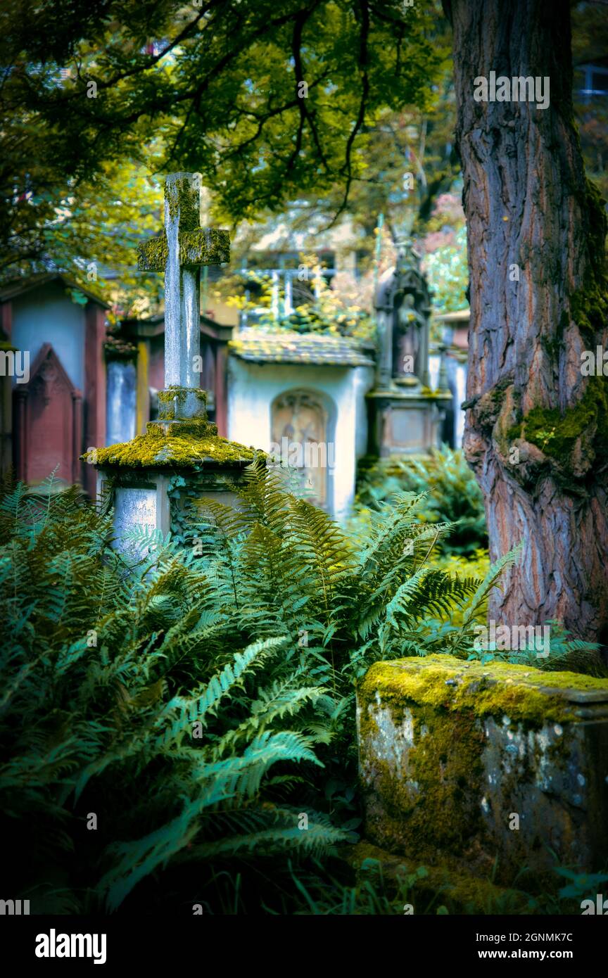 Vecchio cimitero Friedhof Ravensburg e Friburgo Germania Foto Stock