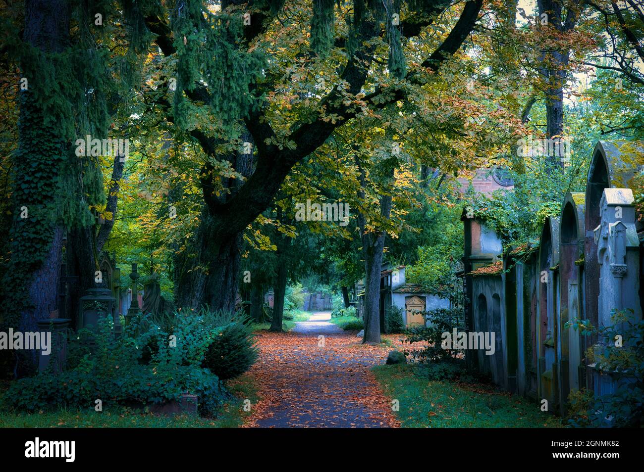 Vecchio cimitero Friedhof Ravensburg e Friburgo Germania Foto Stock