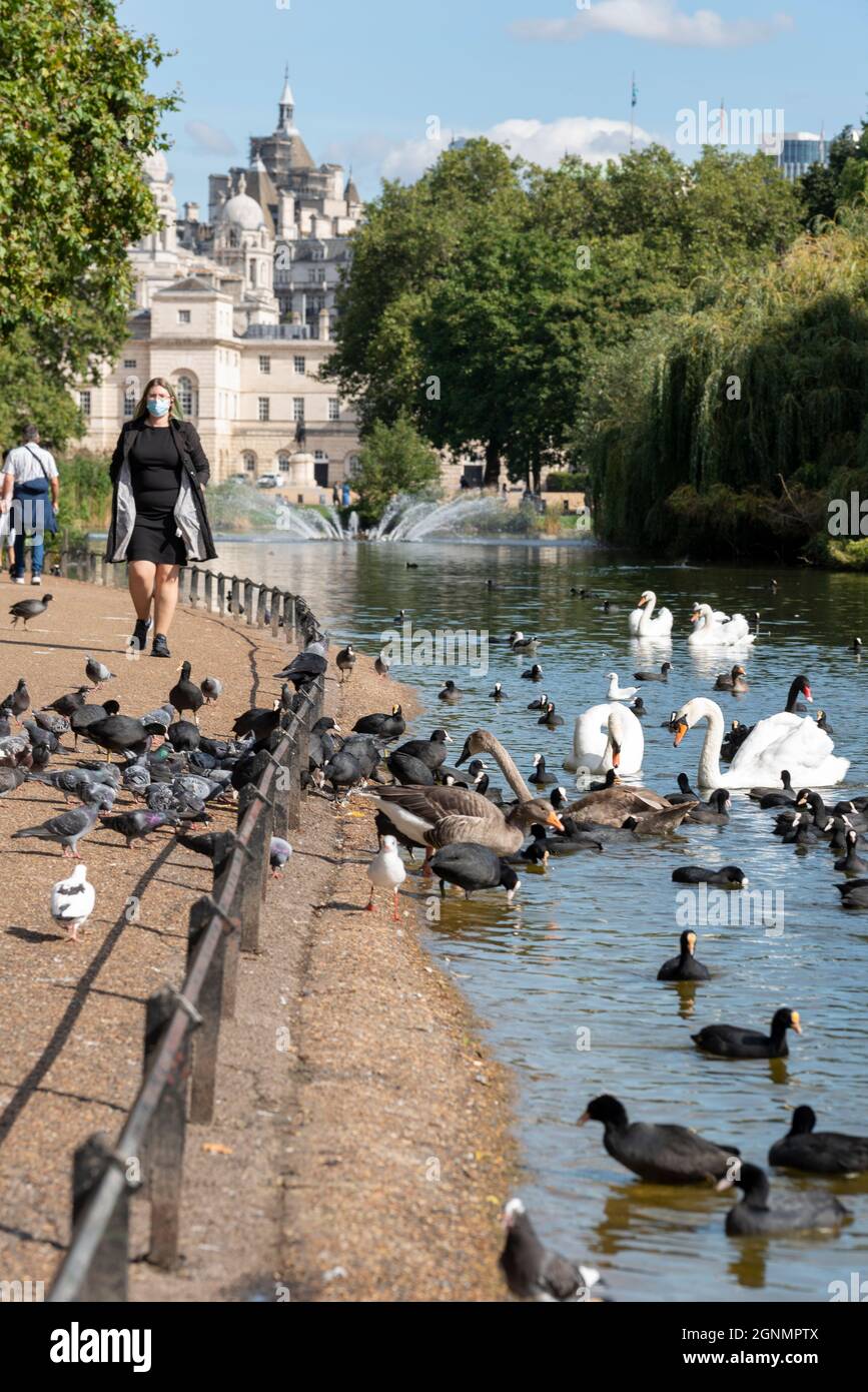 St James's Park a Londra, Regno Unito, con lago, uccelli, cigni e alberi. Persone che si godono una luminosa giornata di settembre durante COVID 19 Foto Stock