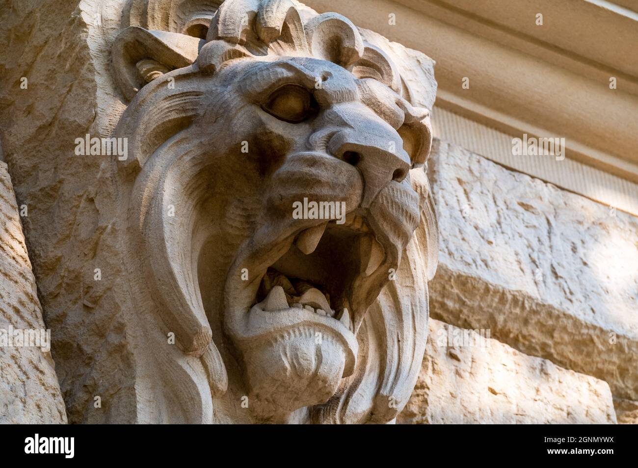 Primo piano di un rilievo della testa del leone Foto Stock