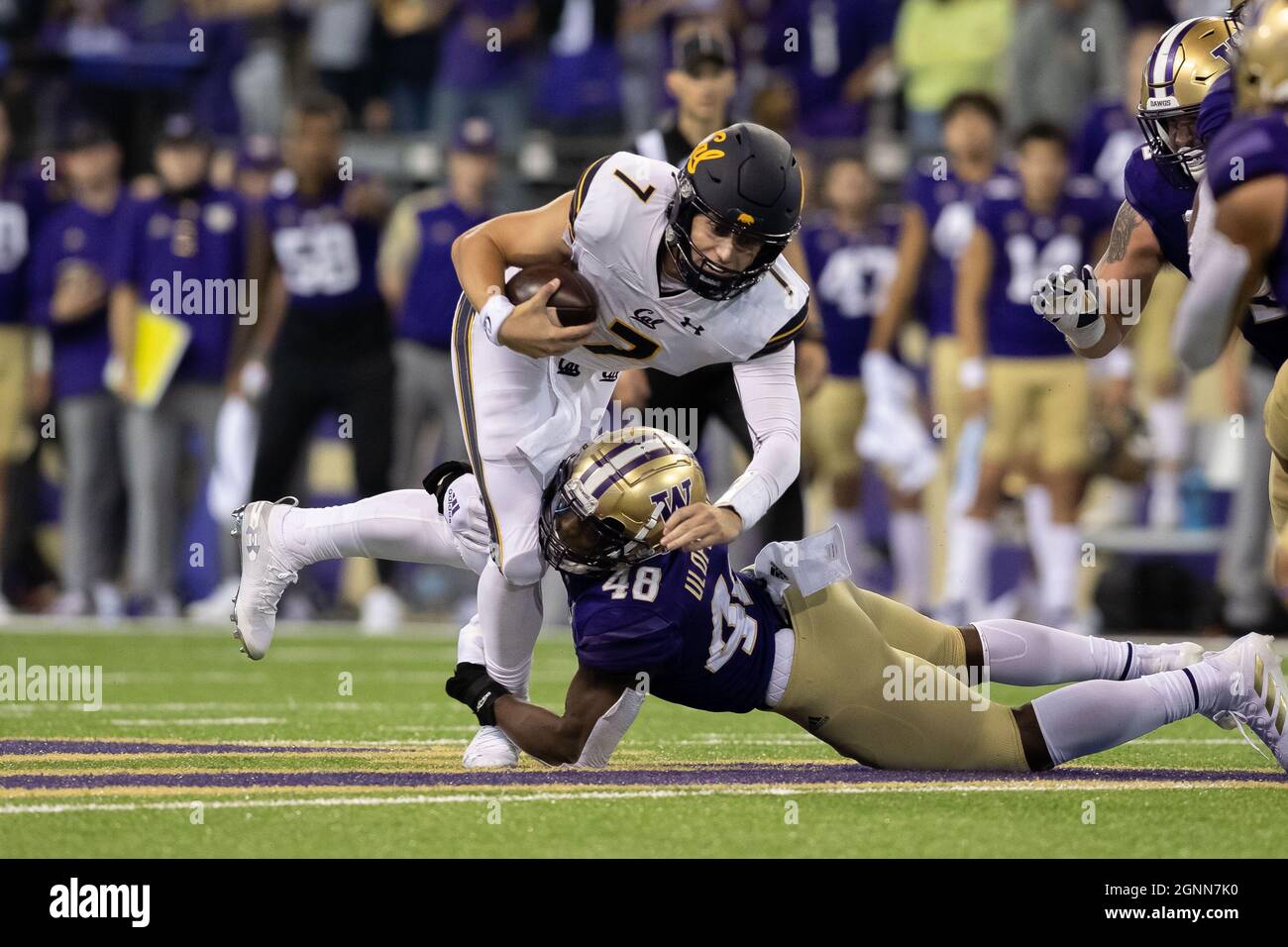 Washington Huskies linebacker Edefuan Ulofoshio (48) affronta California Golden Bears quarterback Chase Garbers (7) durante il quarto trimestre di un co NCAA Foto Stock