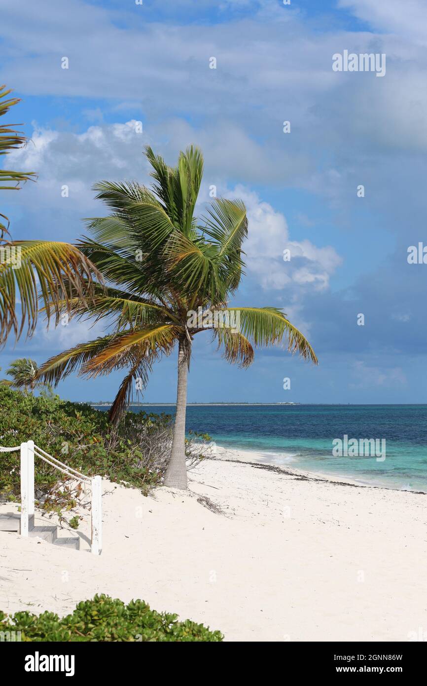 Turtle Cove Beach, Providenciales, Turks e Caicos Islands Foto Stock