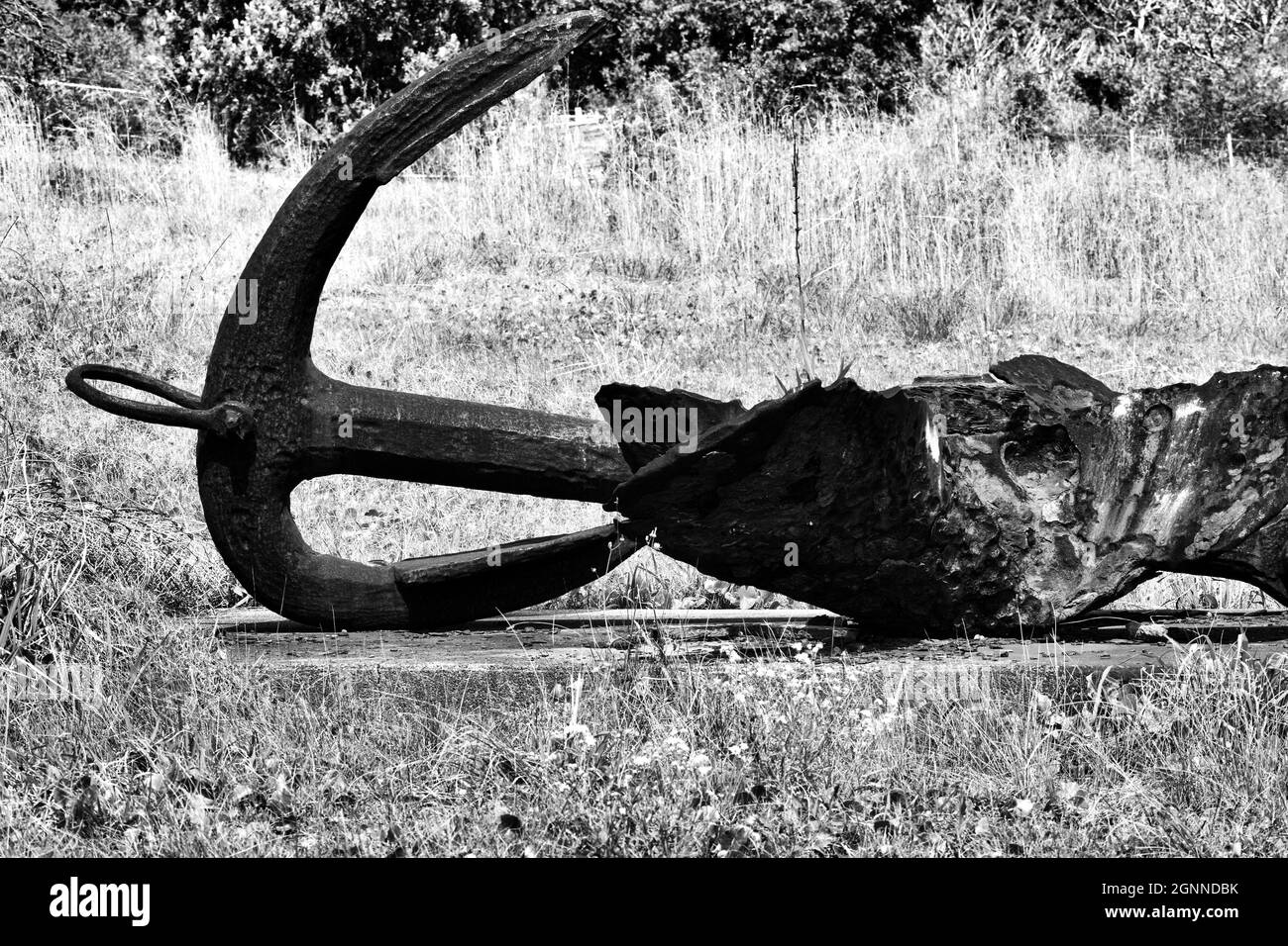 Arrugginito ancora BW Foto Stock