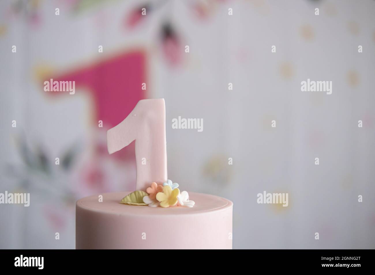 torte di compleanno 1 anno