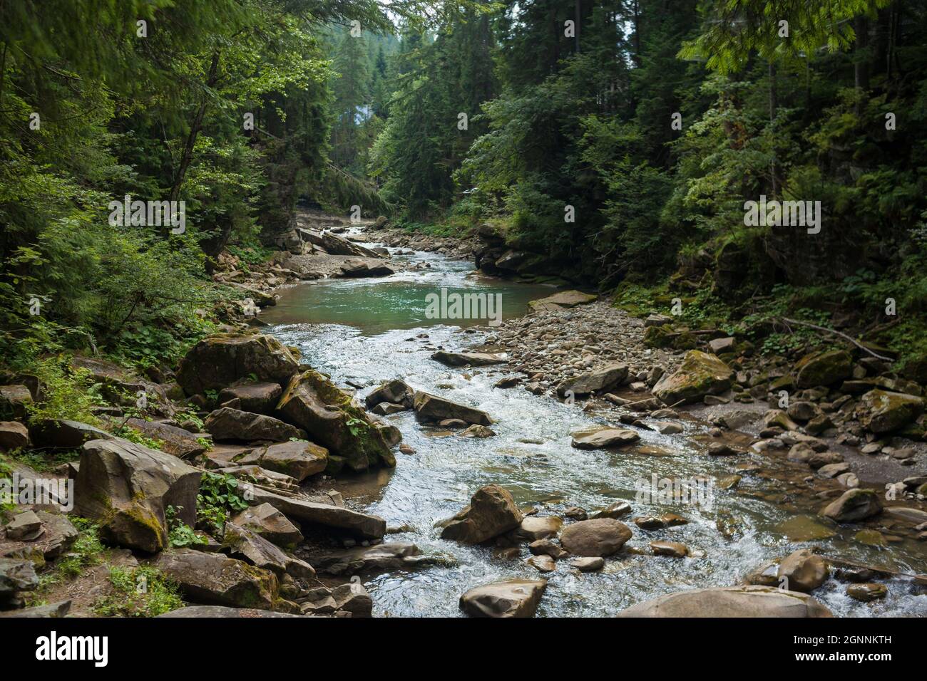 Piccolo fiume che scorre rapidamente e vividamente attraverso la sua valle rocciosa selvaggia Foto Stock