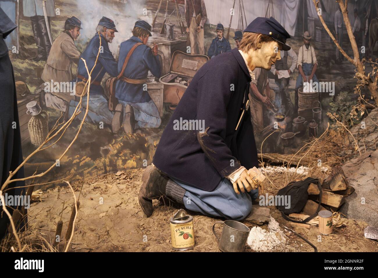 Un soldato della Guerra civile che mangia pesche in un campo. Al National Civil War Medicine Museum di Frederick, Maryland. Foto Stock