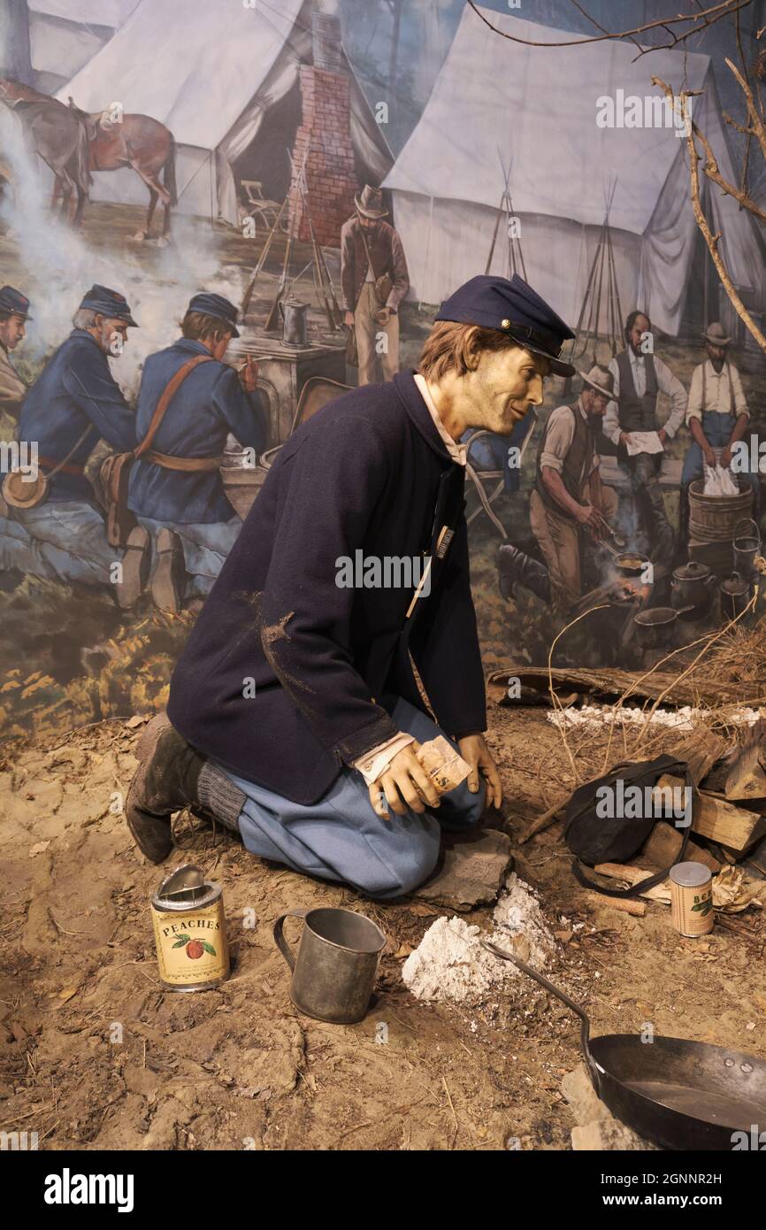 Un soldato della Guerra civile che mangia pesche in un campo. Al National Civil War Medicine Museum di Frederick, Maryland. Foto Stock