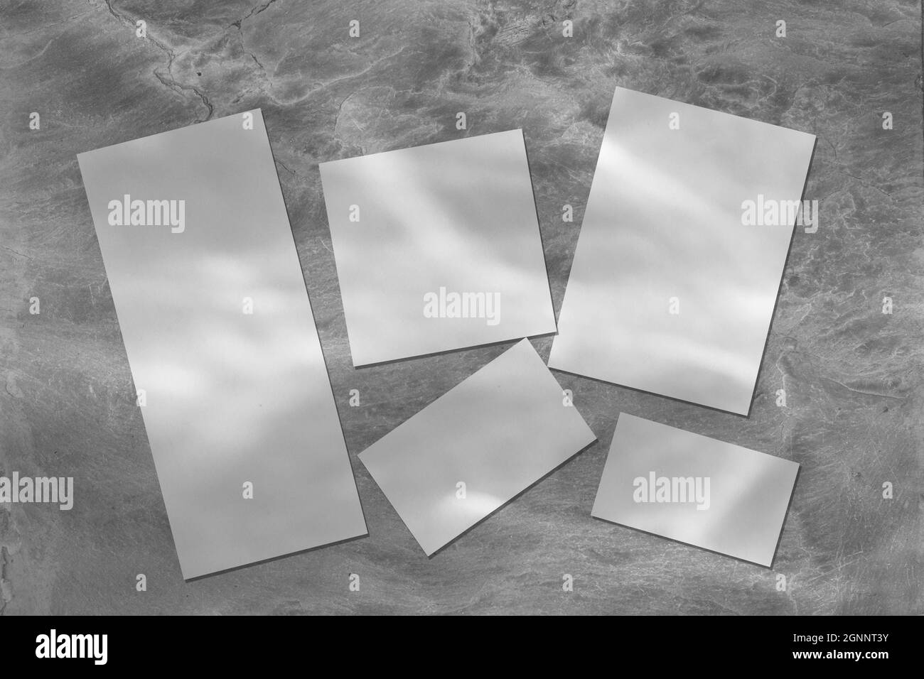 Mockup di cancelleria nuziali vuoti con ombre su sfondo grigio Foto Stock