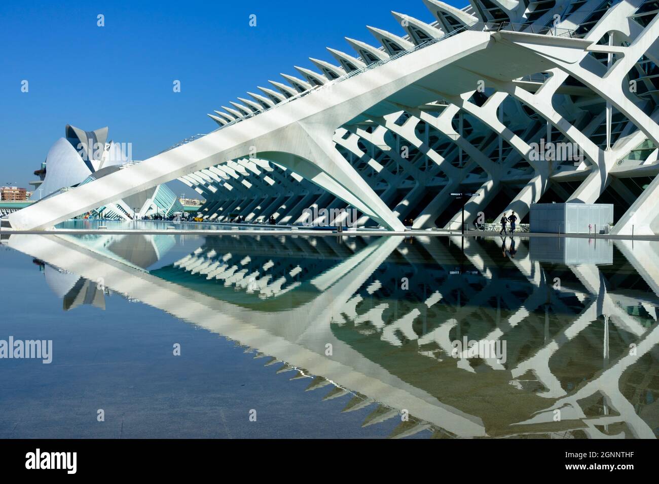 Spagna Valencia Città delle Arti e della Scienza Valencia Spagna architettura moderna di Calatrava Foto Stock