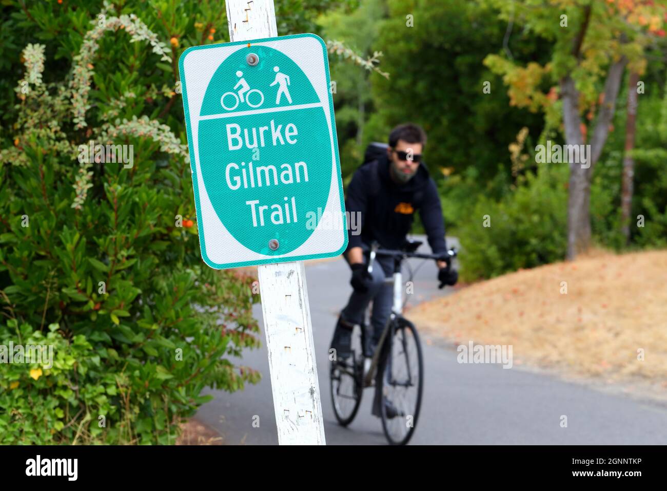 Un bicyclist sul Burke Gilman Trail a Seattle, Washington. Il Burke Gilman è una pista ciclabile lastricata e pedonale da Ballard a Bothell. Foto Stock