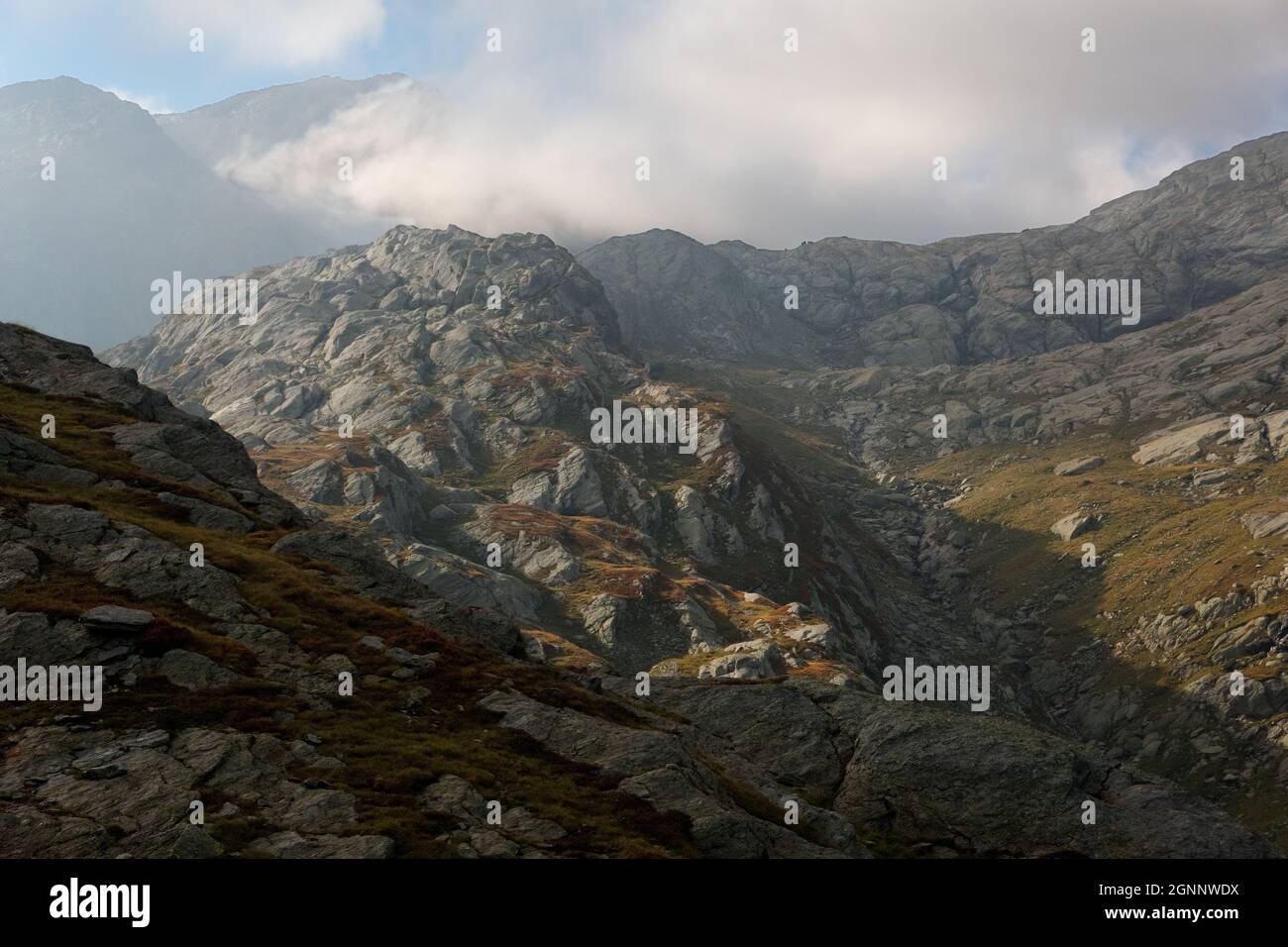 Paesaggio alpino in cui le tracce di un ghiacciaio lungo scomparso sono ancora visibili attraverso le rocce arrotondate Foto Stock