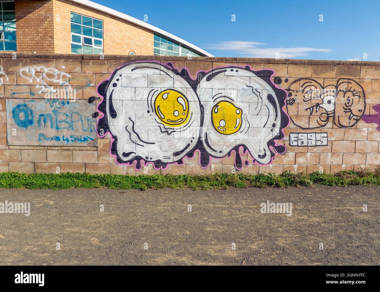 Graffiti / Street Art di un artista locale su un muro a Newhaven, Edimburgo, Scozia, Regno Unito Foto Stock