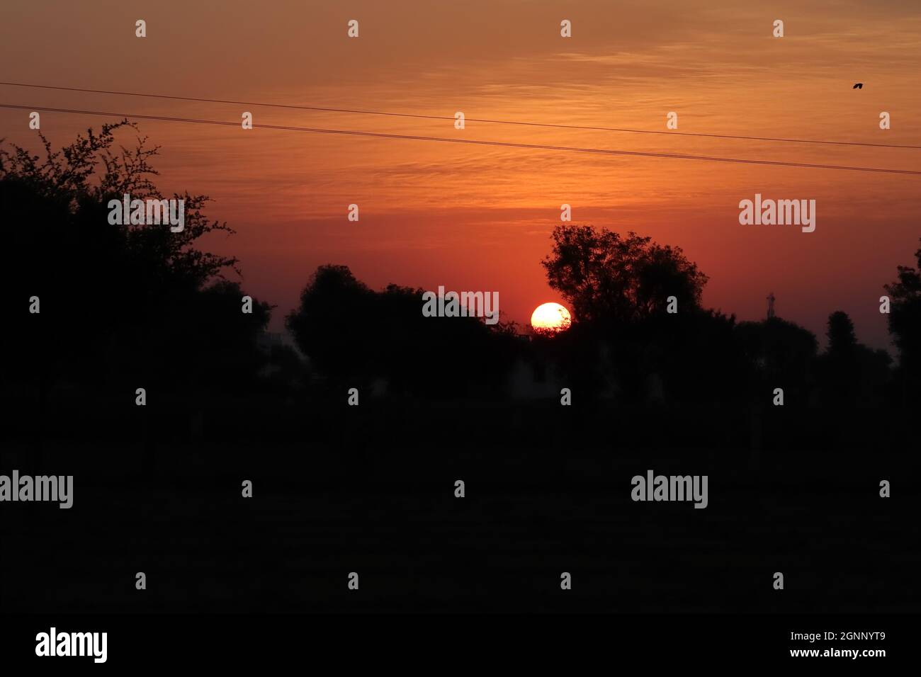Paesaggio fotografia di un'alba con un mezzo sole abbagliante che entra nel cielo da una silhouette collinare e una silhouette boscosa di alberi selvatici Foto Stock