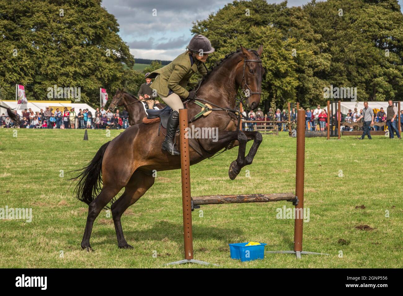 Show jumping, Bellingham Show, Bellingham, Northumberland, Regno Unito Foto Stock