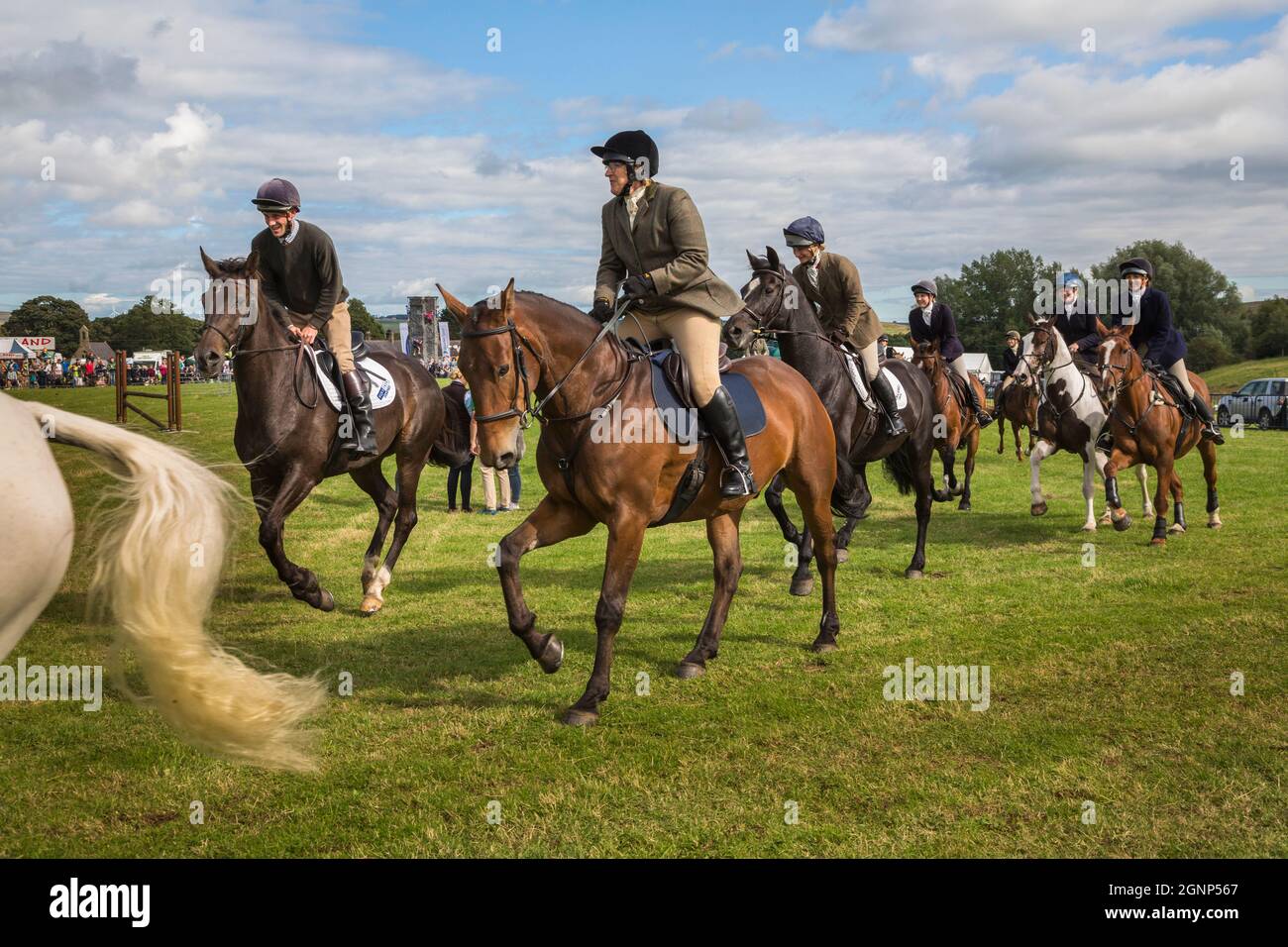 Spettacolo di cavalli e pony, Bellingham Show, Bellingham, Northumberland, Regno Unito Foto Stock