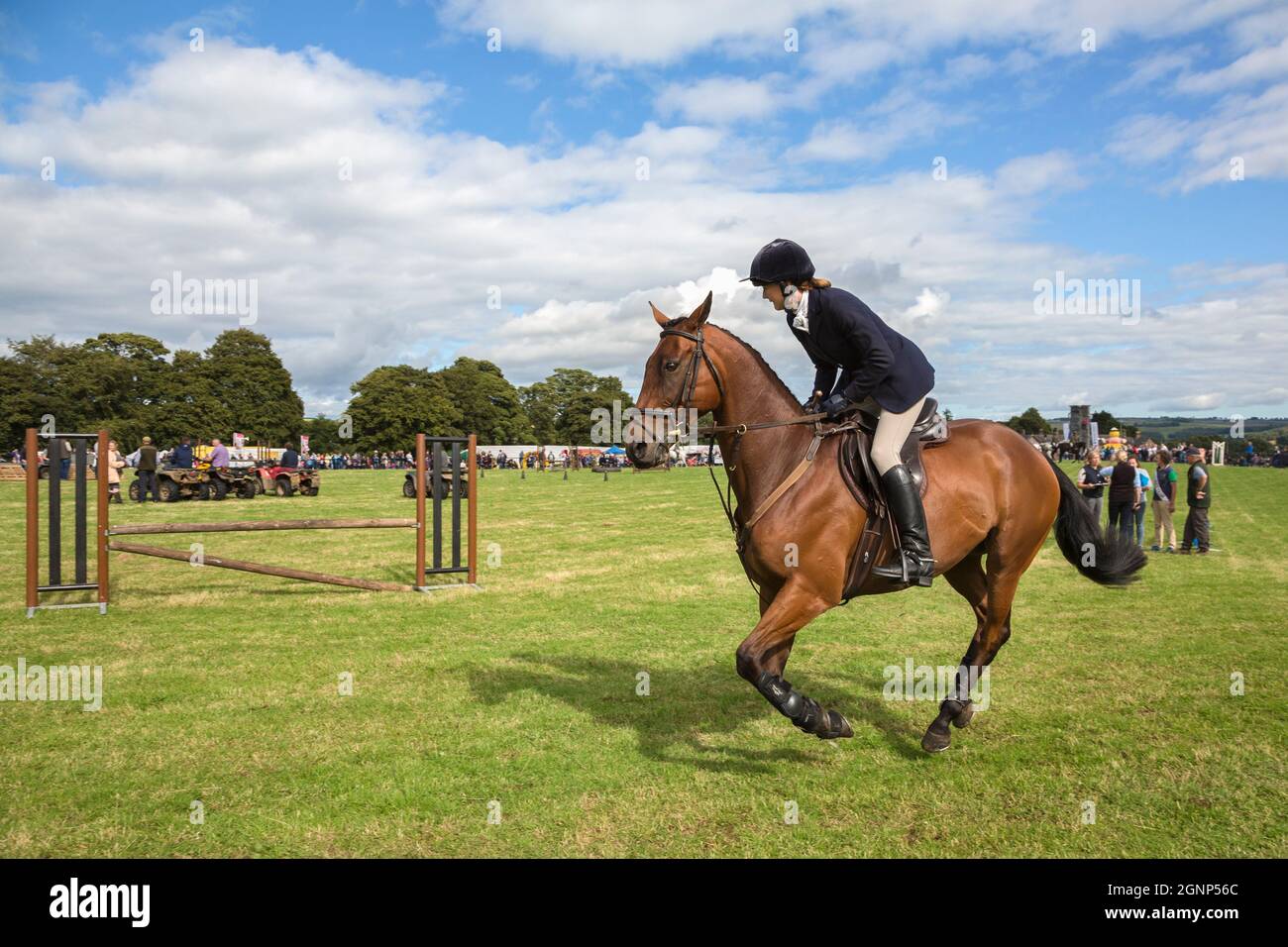 Show jumping, Bellingham Show, Bellingham, Northumberland, Regno Unito Foto Stock