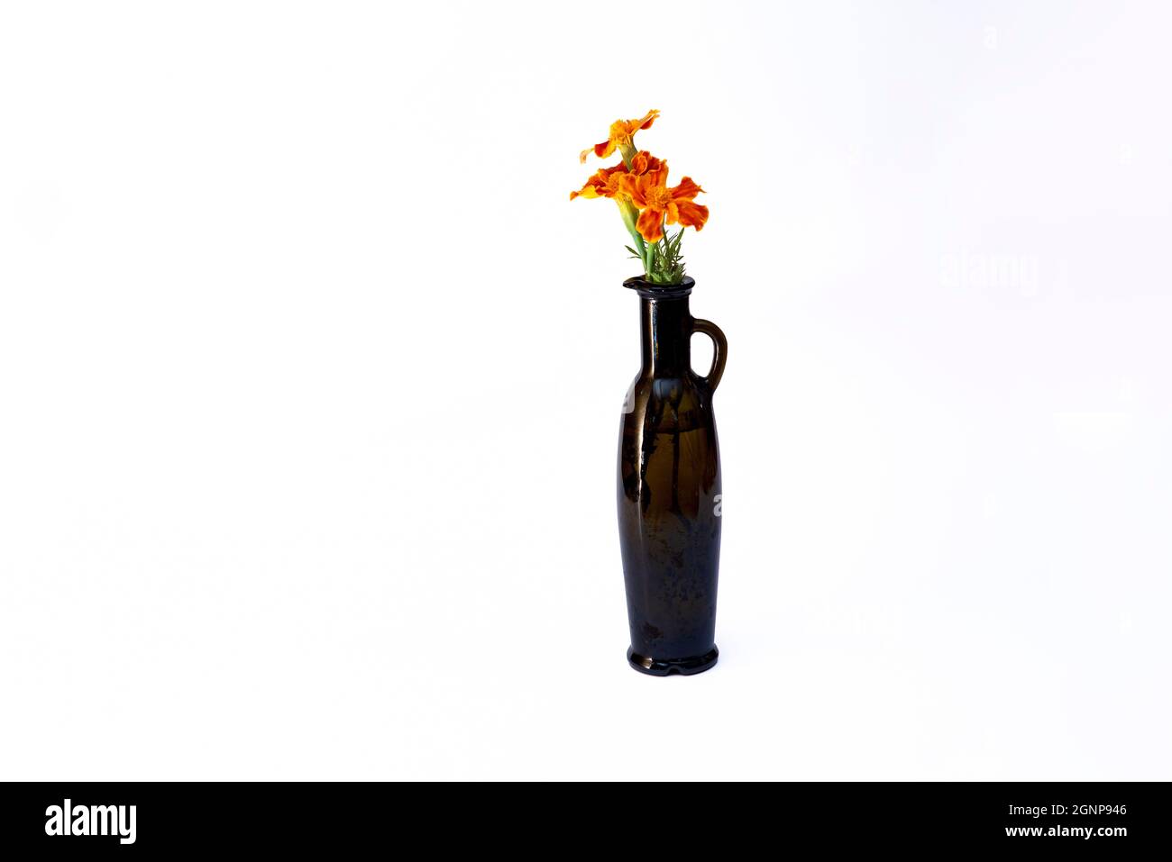 Fiore arancione in un bel vaso bottiglia isolato su bianco Foto Stock