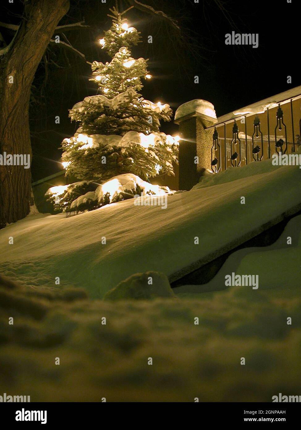 albero di natale nella neve di notte, Austria Foto Stock