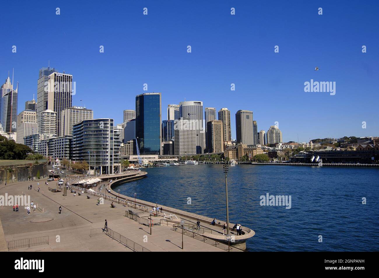 Scena cittadina di Sydney con porto, Australia, Sydney Foto Stock