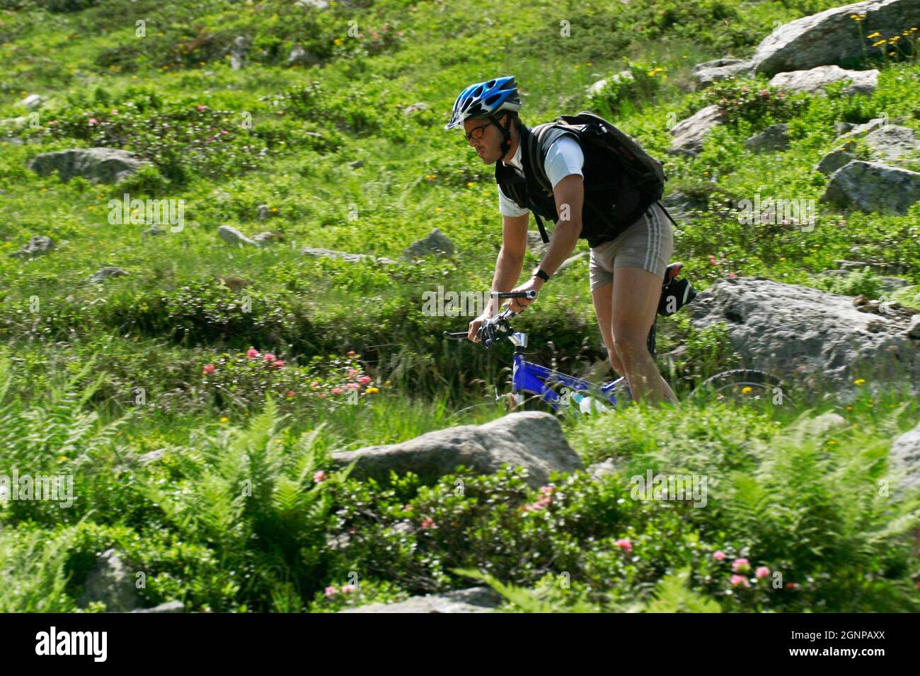 Moutainbiker nelle Alpi, Austria Foto Stock
