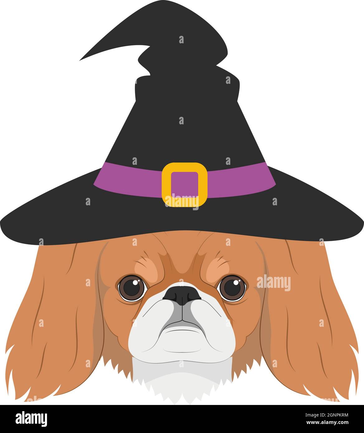 Biglietto di auguri di Halloween. Cane pekingese vestito come una strega con cappello nero Illustrazione Vettoriale