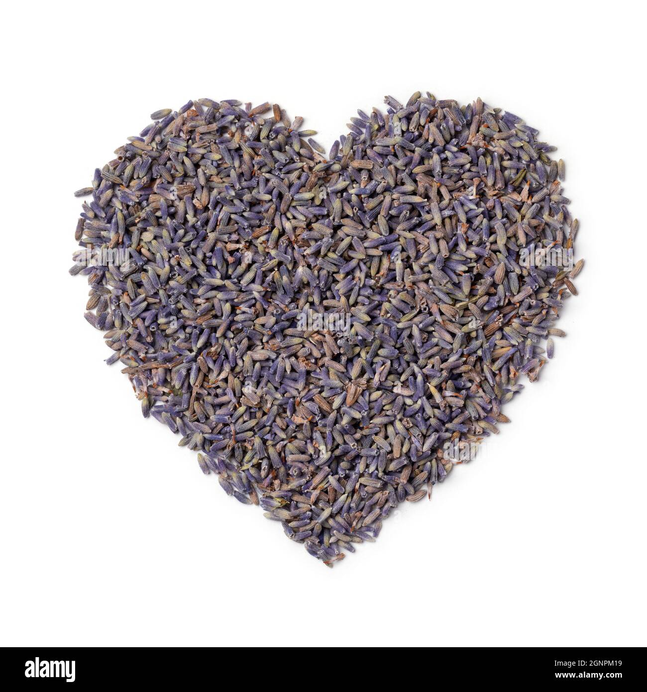 Fiori viola appassiti di lavanda in primo piano in forma di cuore isolato su sfondo bianco Foto Stock