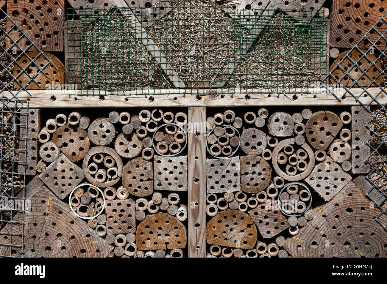 Insects hotel outdoor close up full frame come sfondo Foto Stock