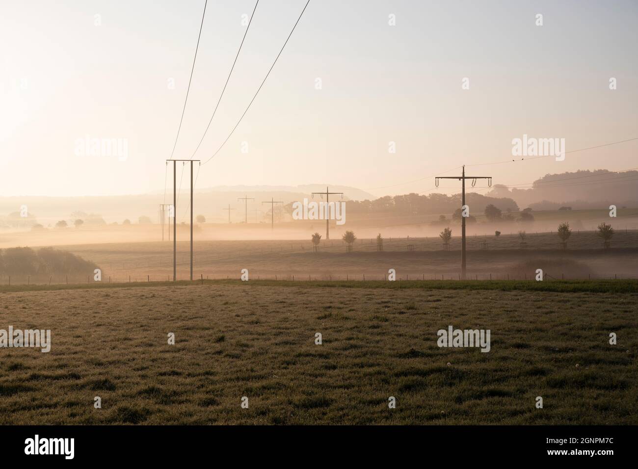 Europa, Lussemburgo, Useldange, campagna vestita di carismatica Mist del mattino Foto Stock