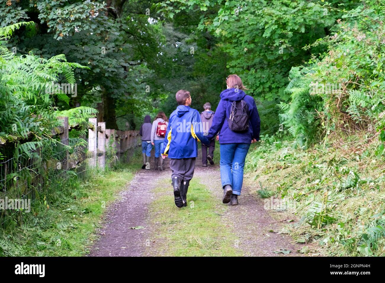 Vista posteriore della gente madre figlio donna bambino ragazzo amici camminare in campagna in pista a Dinefwr Park Carmarthenshire Galles UK KATHY DEWITT Foto Stock
