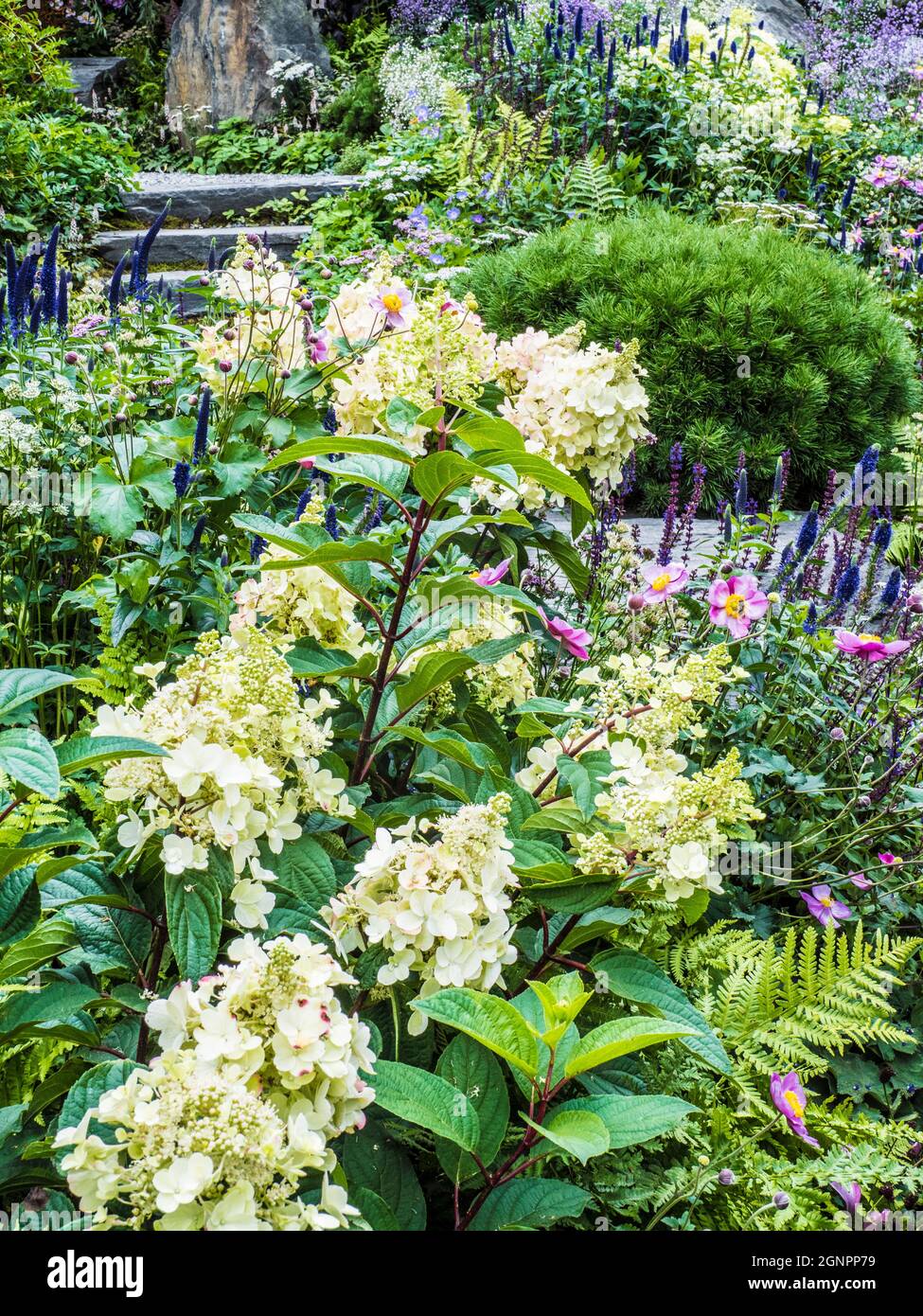 Uno dei giardini dello spettacolo al RHS Chelsea Flower Show 2021. Foto Stock