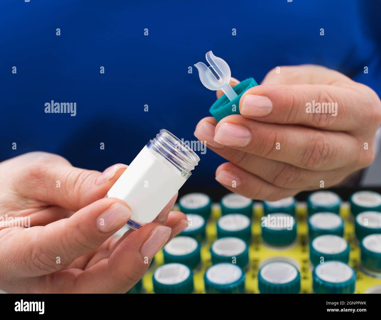 Lenti a contatto nelle mani del medico. Oftalmologia, scelta di lenti a contatto per la visione Foto Stock